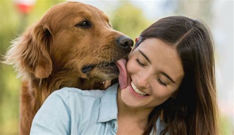 Mujer folla por toda la habitación con perro grande